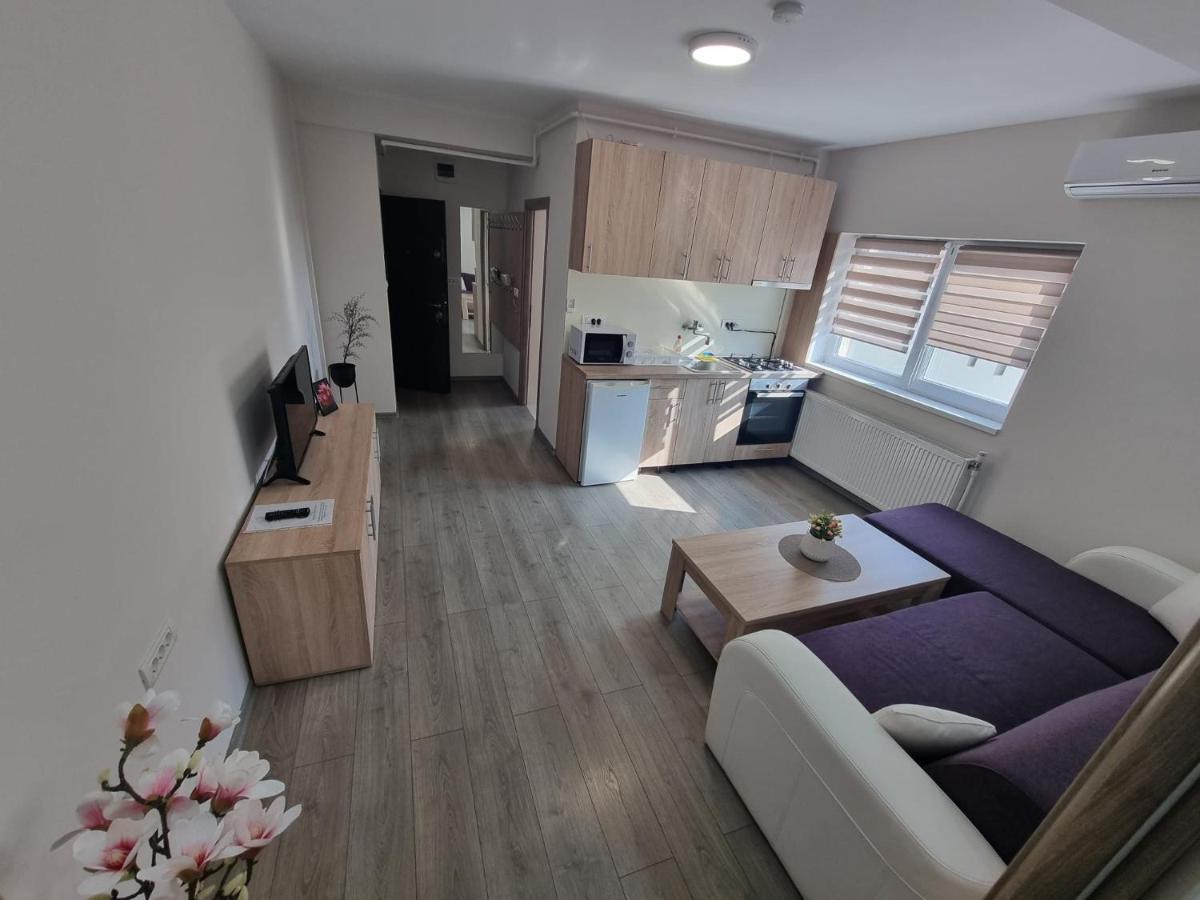 City Premium Apartments Timişoara Eksteriør bilde