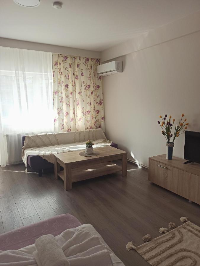 City Premium Apartments Timişoara Eksteriør bilde
